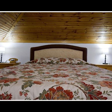 Hotel Bitouni メツォヴォ エクステリア 写真