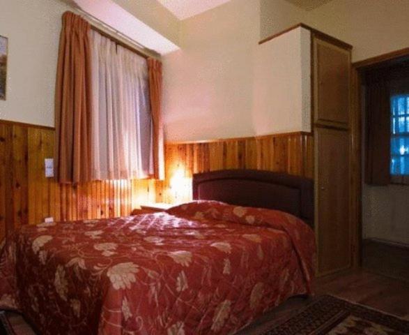 Hotel Bitouni メツォヴォ エクステリア 写真