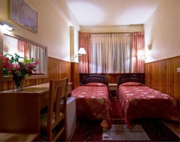 Hotel Bitouni メツォヴォ 部屋 写真
