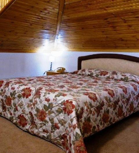 Hotel Bitouni メツォヴォ 部屋 写真
